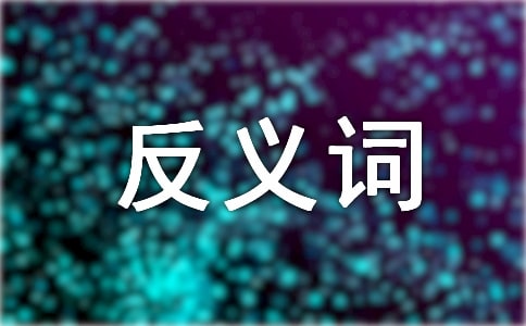 ���x�~�Ľ̰�