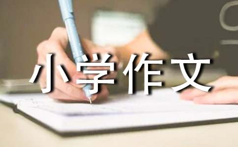 【推薦】寒假趣事小學作文三篇