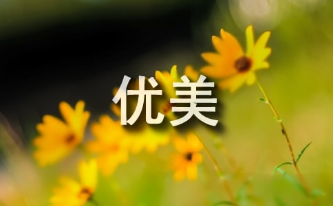 環(huán)境描寫優(yōu)美段落(錦集15篇)